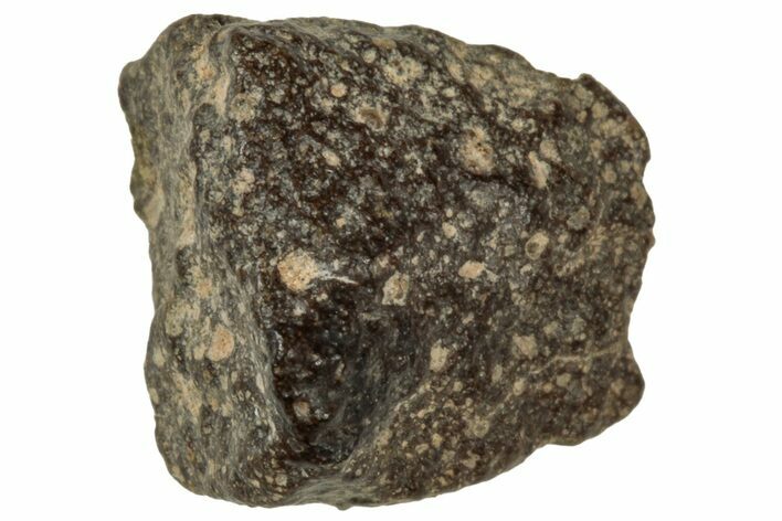 Abadla CM Chondrite Meteorite ( g) - Algeria #313065